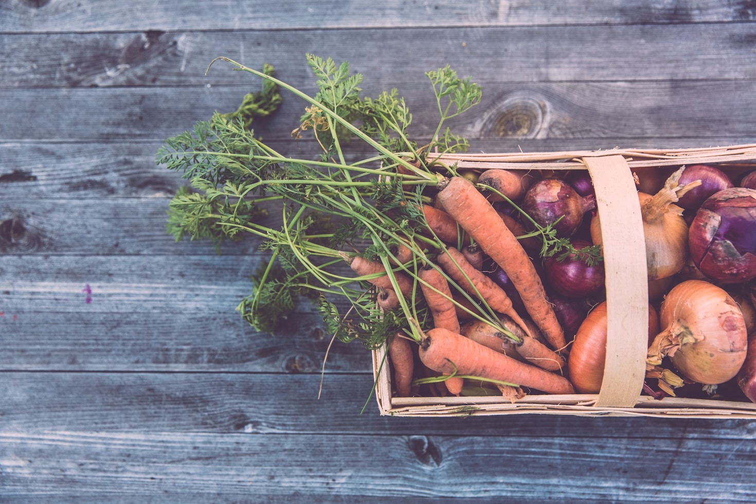 Engaging Farm Activities for All Ages