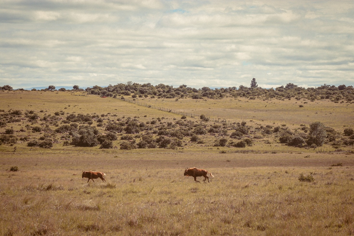 A Day in the Life at Our Farm