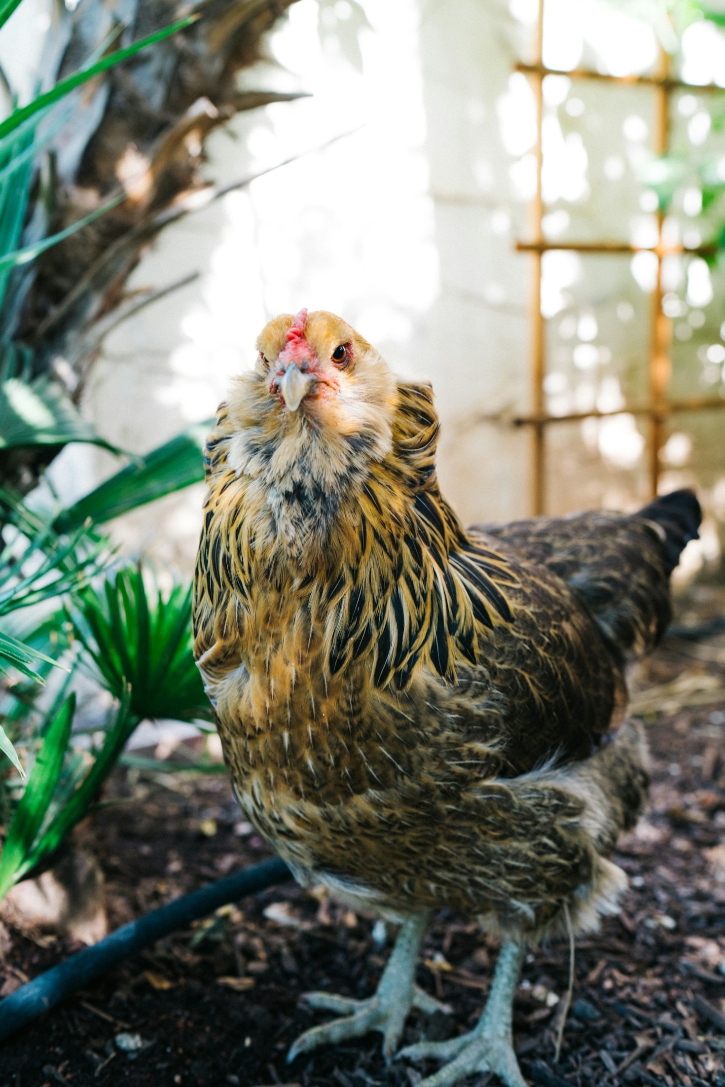 Creating Unforgettable Family Memories on the Farm